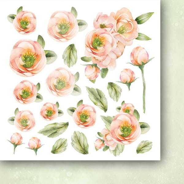 Sada oboustranně potištěných papírů PAPER HEAVEN 6x6" - First Kiss_Flowers - sada 24 listů