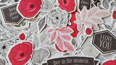 Moda Scrap - kolekce Spring Poppies