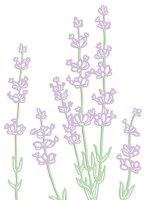 Vyřezávací šablony dpCraft - levandule - sada 4 ks