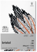 Blok WINSOR&NEWTON Bristol Pad A4 - 250g - 20 listů