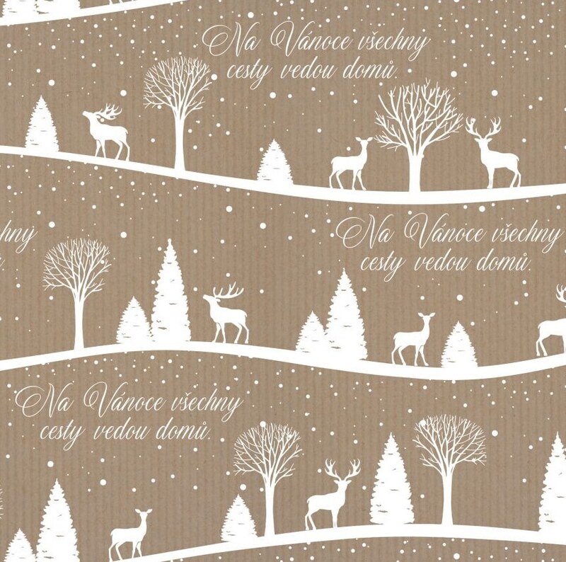 Vánoční balicí papír 70 x 100 cm - Cesty domů