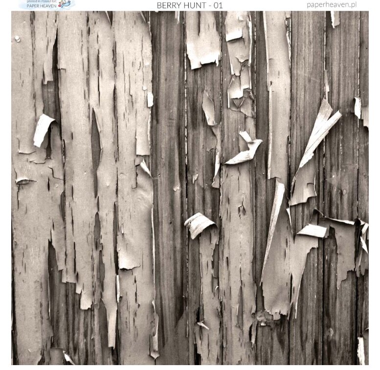 Sada oboustranně potištěných papírů PAPER HEAVEN 12x12" - Berry Hunt - sada 12 listů