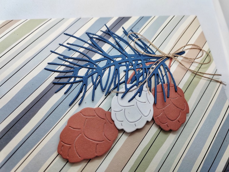 Dárková obálka - Šišky