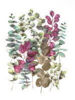 Průhledné samolepky "Eukalyptus" - sada 12 ks