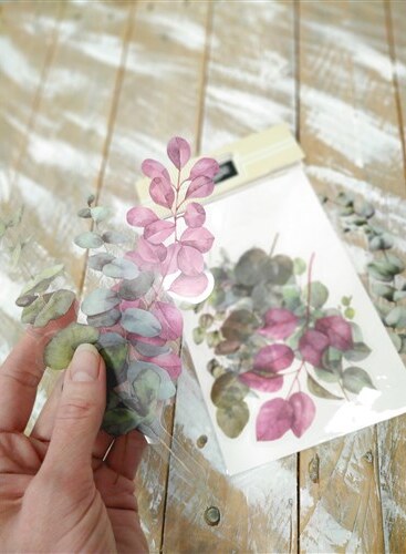 Průhledné samolepky "Eukalyptus"