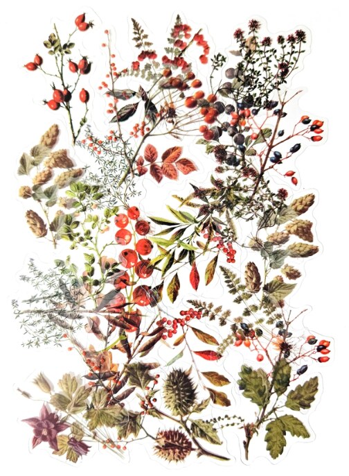 Průhledné samolepky "Poklady lesa" - sada 20 ks