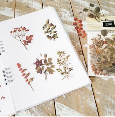 Průhledné samolepky "Poklady lesa" - sada 20 ks