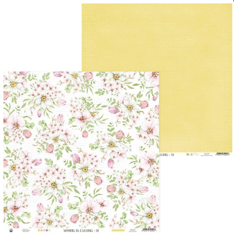 Potištěný papír 12x12" P13 The spring is calling 01