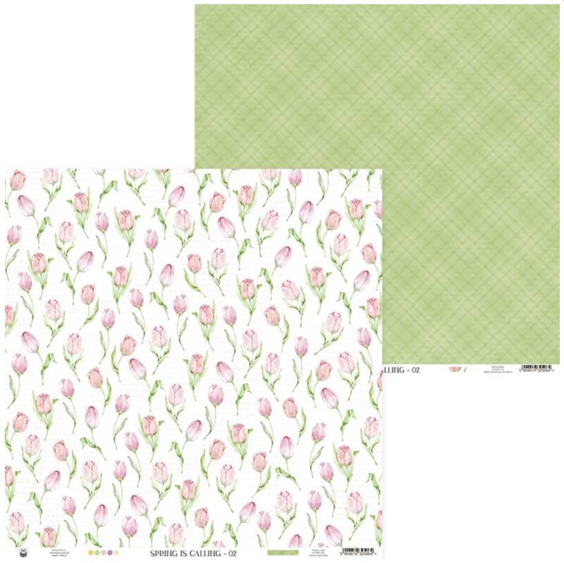 Potištěný papír 12x12" P13 The spring is calling 02