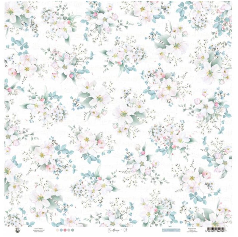 Potištěný papír 12x12" P13 Birdhouse 04 - 1 list