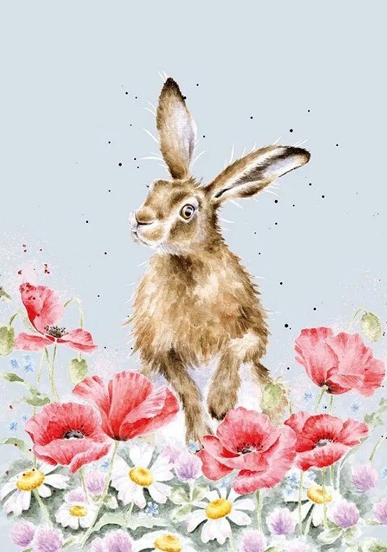 Luxusní zápisník A6 Wrendale Designs - vlčí máky a zajíc - 1 ks