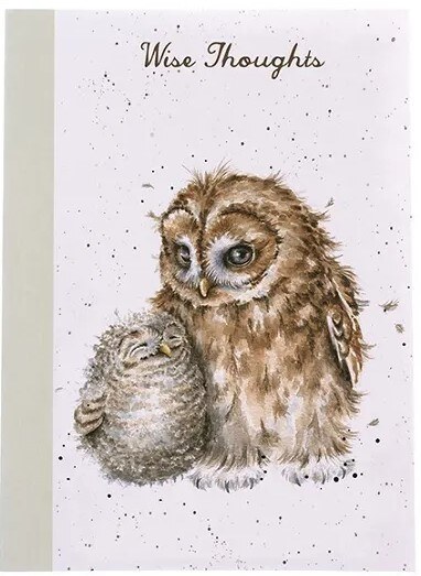 Luxusní zápisník A6 Wrendale Designs - soví rodina