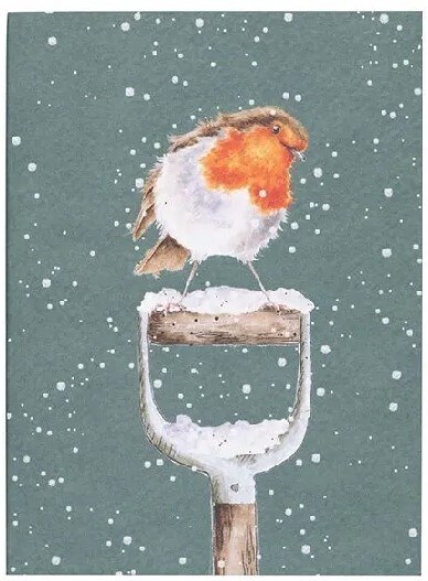 Luxusní zápisník A6 Wrendale Designs - červenka - 1 ks