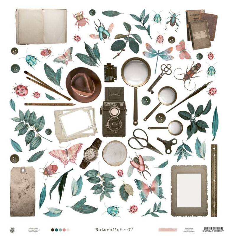 Potištěný papír 12x12" P13 Naturalist 07 - 1 list