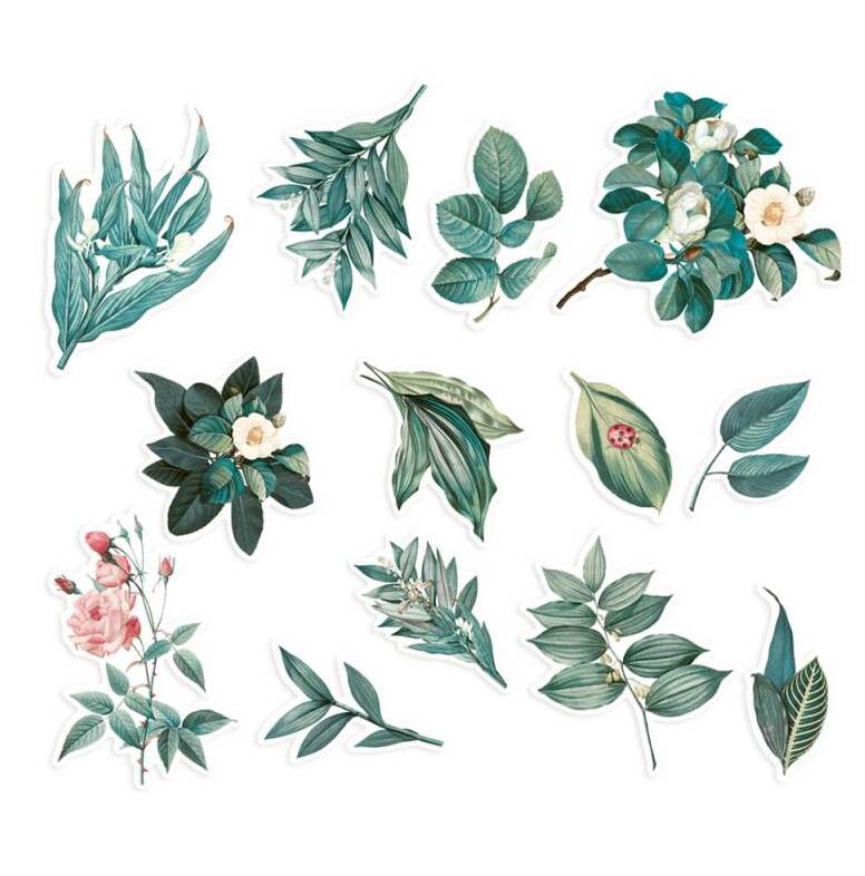 Papírové výseky P13 - Naturalist květy a listy - sada 13 ks