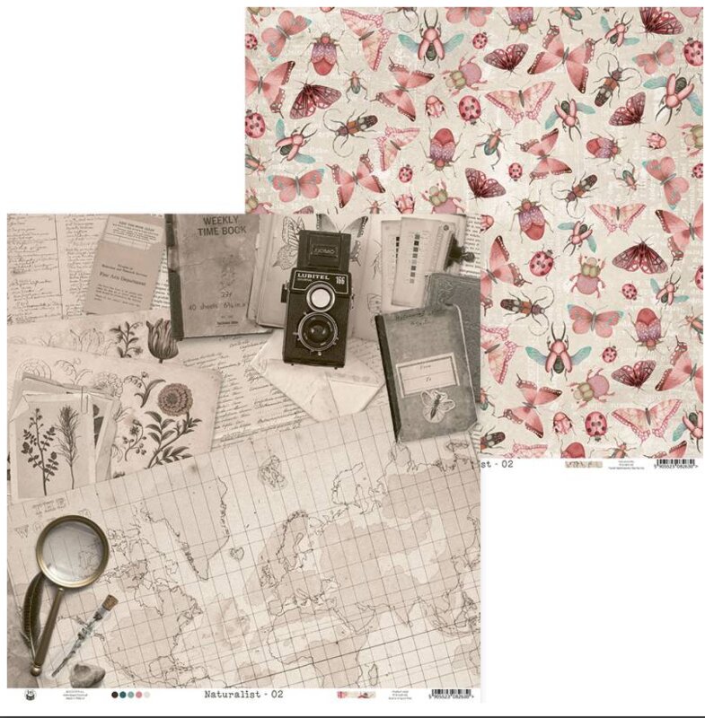 Scrapbookové oboustranně potištěné papíry P13 12x12" Naturalist - sada 12 listů