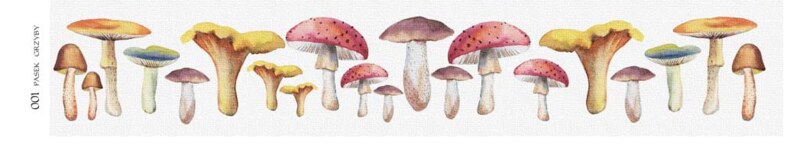 Oboustranně potištěný pás s houbami  001 PAPER HEAVEN - 1 ks