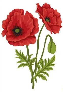 Plastová šablona na vrstvené květiny Studio Light - vlčí mák - 1 ks