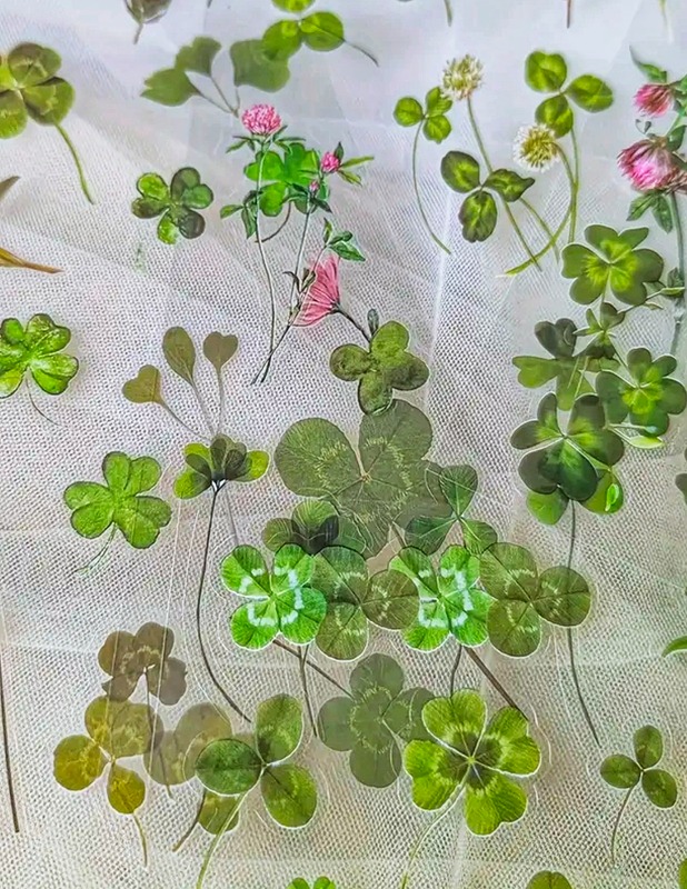 Průhledné samolepky Jetel/čtyřlístky - 2 archy - sada 2 archy