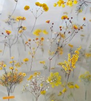 Průhledné samolepky Žlutá kvítka - 2 archy - sada 2 archy