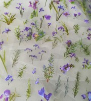 Průhledné samolepky Kosatce / Rozmarýn - 2 archy - sada 2 archy