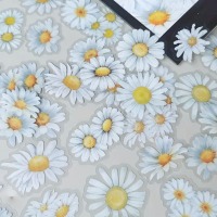 Průhledné samolepky Kopretiny - 25 ks - sada 25 ks