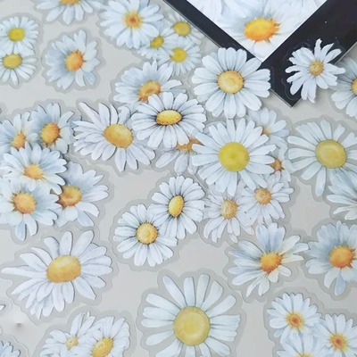 Průhledné samolepky Kopretiny - 25 ks - sada 25 ks