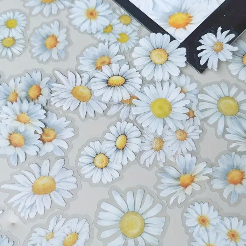 Průhledné samolepky Kopretiny - 25 ks - sada 25 ks