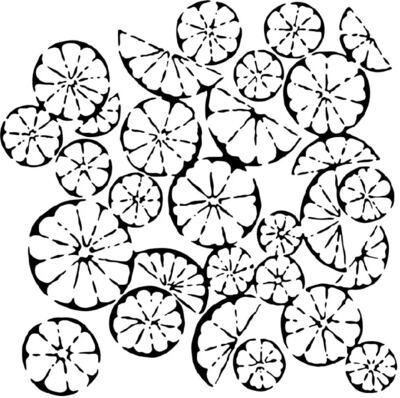 Plastová šablona TCW - citrusy - 1 ks