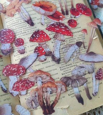 Průhledné samolepky "houby - sada 20 ks