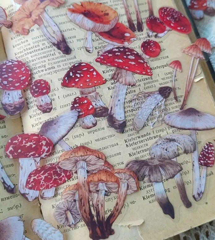 Průhledné samolepky "houby - sada 20 ks