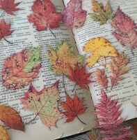 Průhledné samolepky "spadané listí" - sada 20 ks