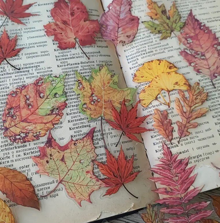 Průhledné samolepky "spadané listí" - sada 20 ks