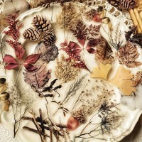 Průhledné samolepky "podzim" - sada 20 ks