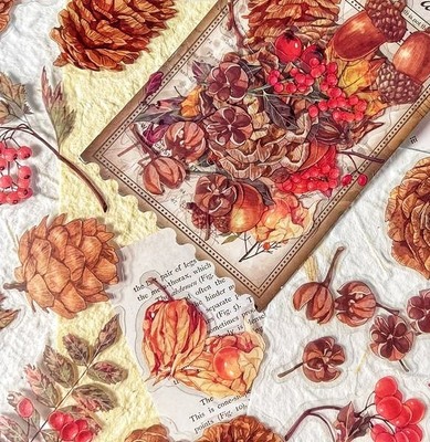 Průhledné samolepky "podzimní plody" - sada 20 ks