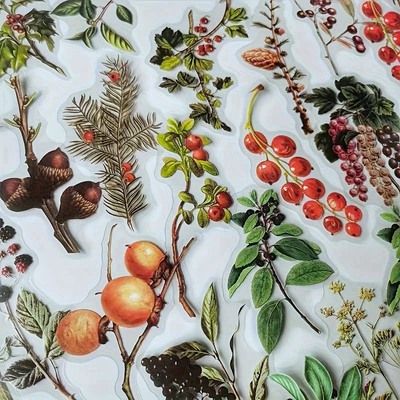 Průhledné samolepky "podzimní plody velké" - sada 20 ks