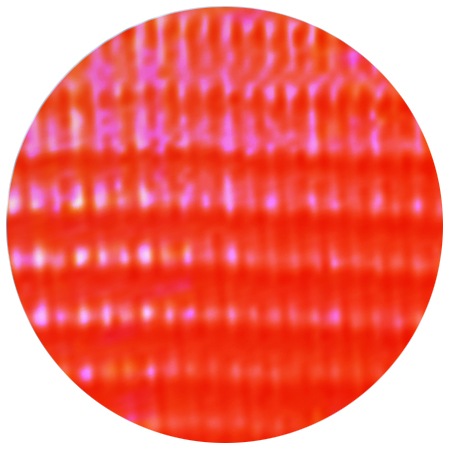 Fixační kolečka UNI 3159