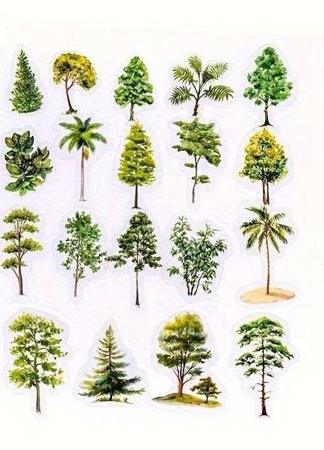 Průhledné samolepky "stromy" - sada 20 ks