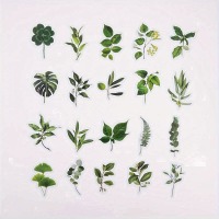 Průhledné samolepky "zeleň" - sada 20 ks