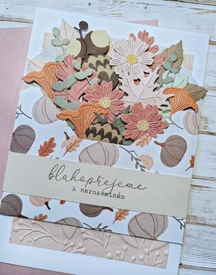 Přání ruční výroba -  Podzim - Blahopřejeme k narozeninám - 1 ks