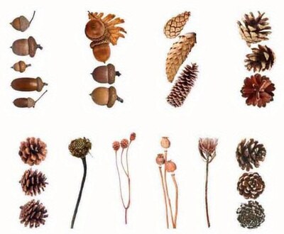 Průhledné samolepky "plody podzimu" - sada 20 ks