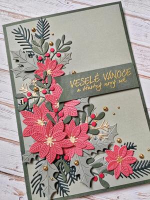 Přání ruční výroba - Vánoční hvězda - květinový motiv - 1 ks