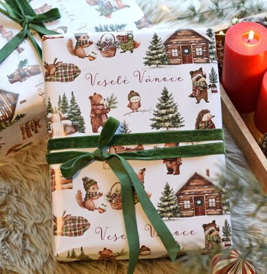 Vánoční balicí papír 70 x 100 cm - 115 g/m2 - Vánoční les se zvířátky - 1 arch