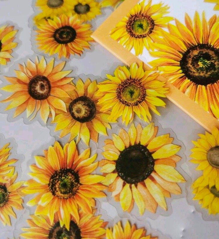Průhledné samolepky Slunečnice - sada 20 ks