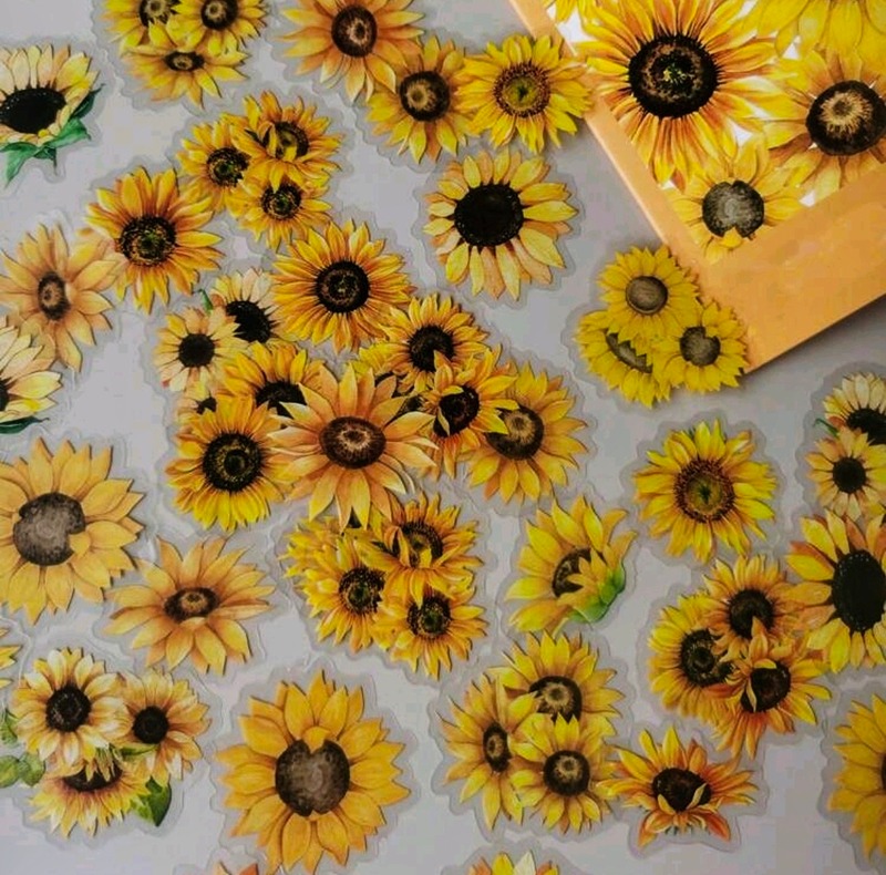 Průhledné samolepky Slunečnice - sada 20 ks