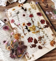 Průhledné samolepky vintage květiny - sada 20 ks