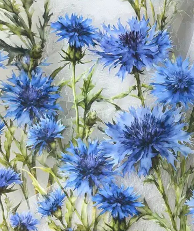 Průhledné samolepky květin - modré chrpy - sada 10 ks