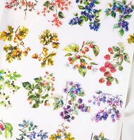 Průhledné samolepky "plody ovoce" - sada 20 ks