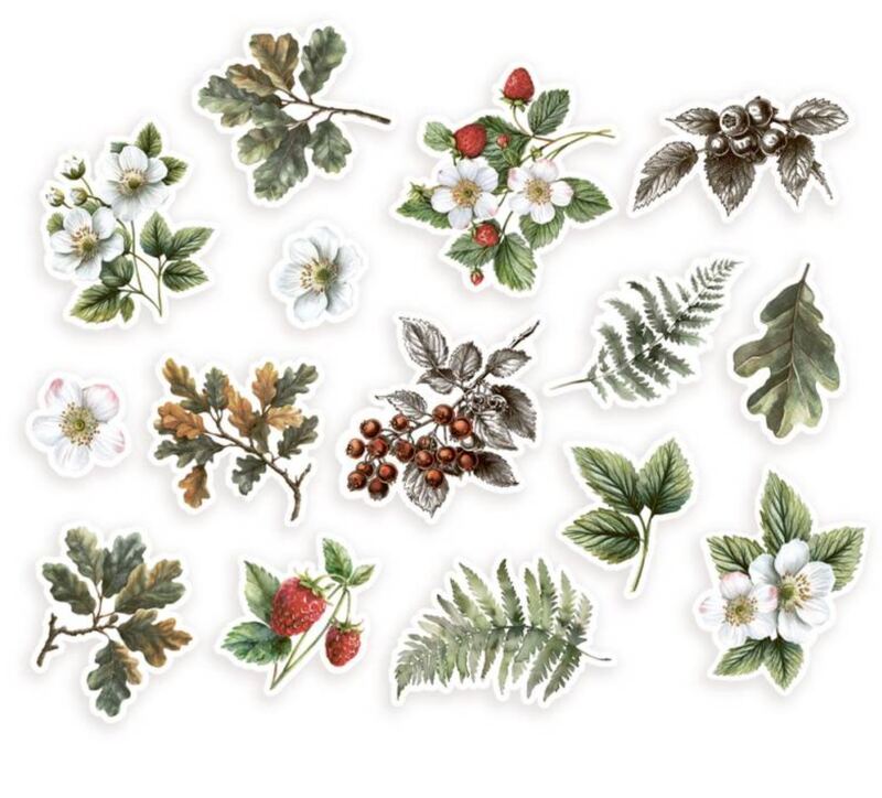 Papírové výseky P13 - Into the Woods květiny a listy - sada 15 ks