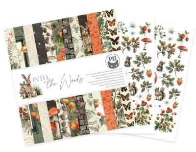 Sada scrapbookových oboustranně potištěných papírů P13 12x12" - Into the Woods - sada 12 listů